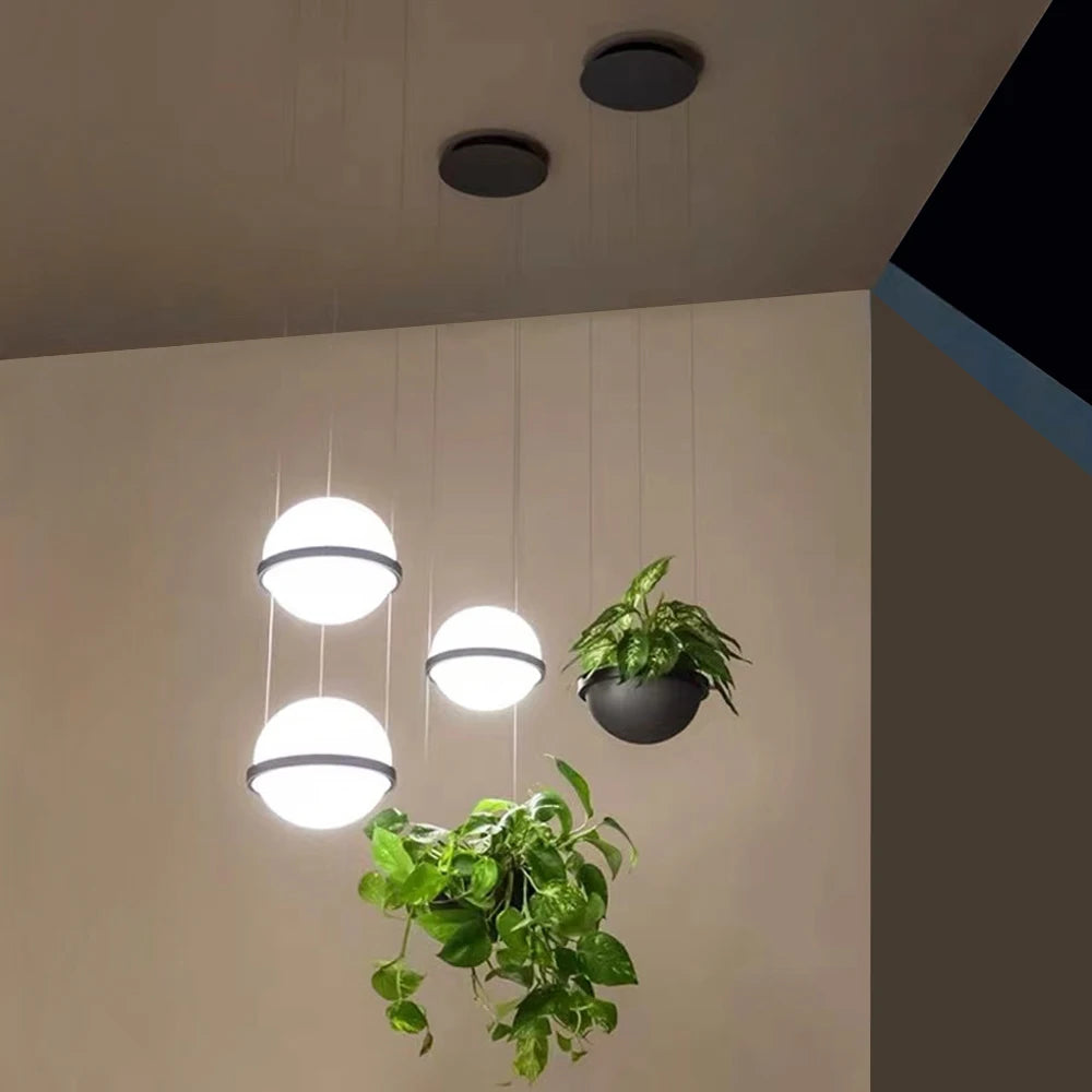 Helsinki Globe Pendant with Hanging Planter
