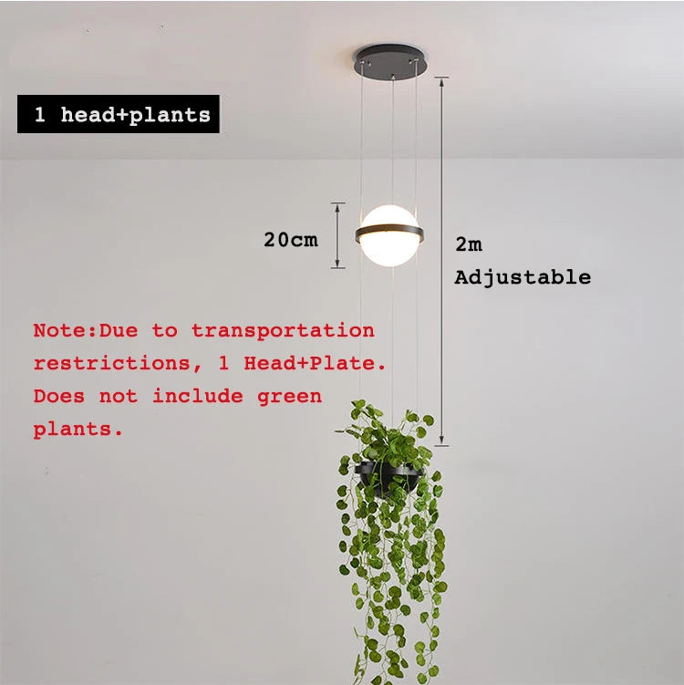 Helsinki Globe Pendant with Hanging Planter
